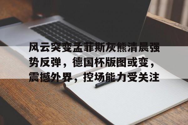 风云突变孟菲斯灰熊清晨强势反弹，德国杯版图或变，震撼外界，控场能力受关注-开云首页入口